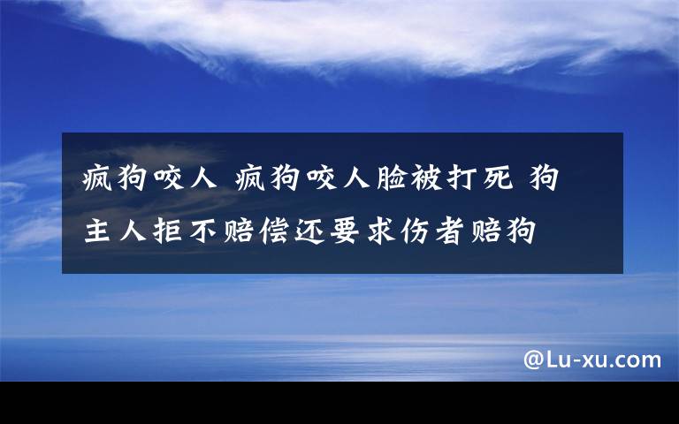 疯狗咬人 疯狗咬人脸被打死 狗主人拒不赔偿还要求伤者赔狗