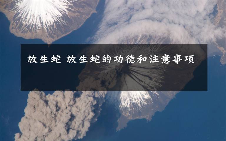 放生蛇 放生蛇的功德和注意事项