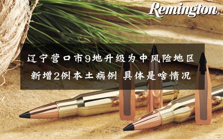 辽宁营口市9地升级为中风险地区 新增2例本土病例 具体是啥情况?