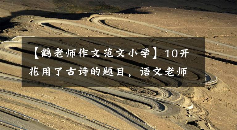 【鹤老师作文范文小学】10开花用了古诗的题目，语文老师喜欢看，作文真的很好写