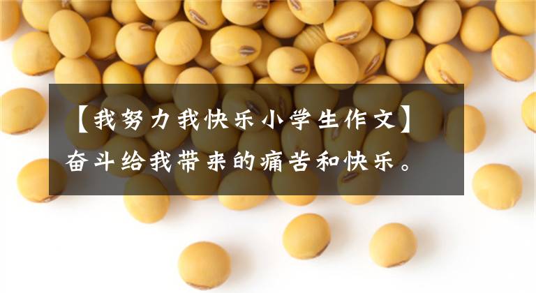 【我努力我快乐小学生作文】奋斗给我带来的痛苦和快乐。