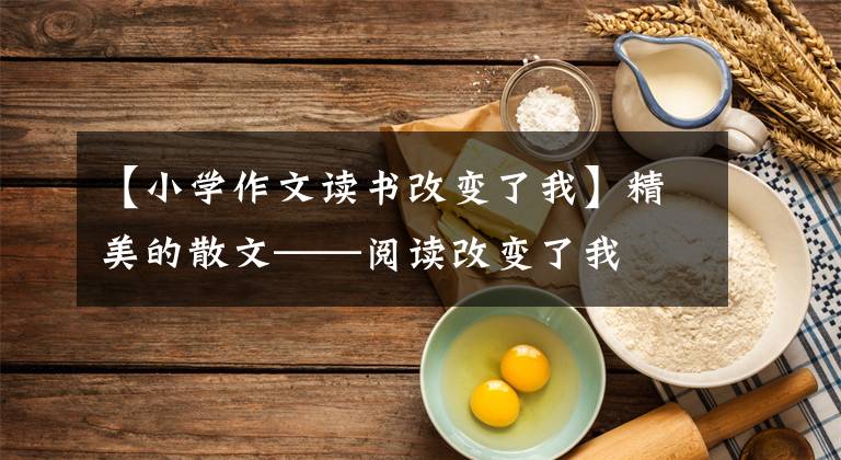 【小学作文读书改变了我】精美的散文——阅读改变了我