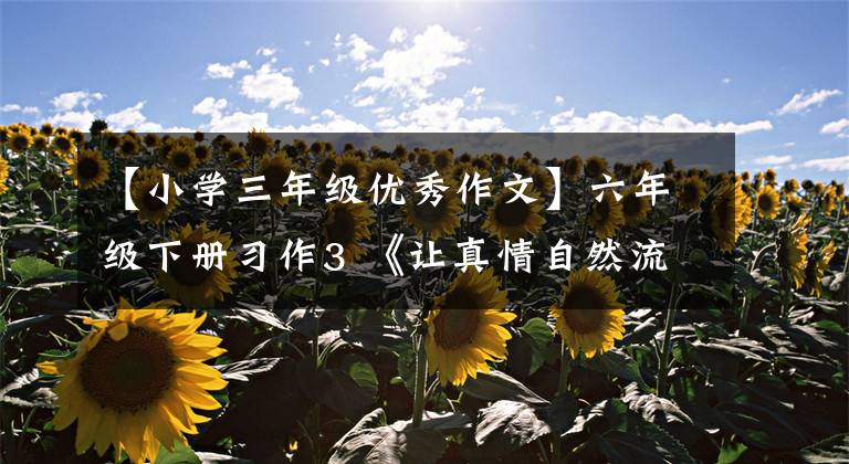 【小学三年级优秀作文】六年级下册习作3 《让真情自然流露》篇，优秀范文12篇