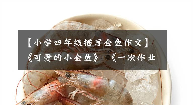 【小学四年级描写金鱼作文】《可爱的小金鱼》 《一次作业调研》