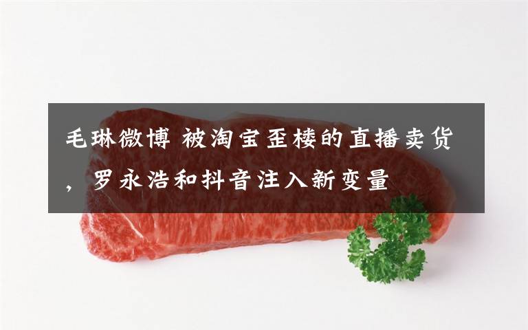 毛琳微博 被淘宝歪楼的直播卖货，罗永浩和抖音注入新变量