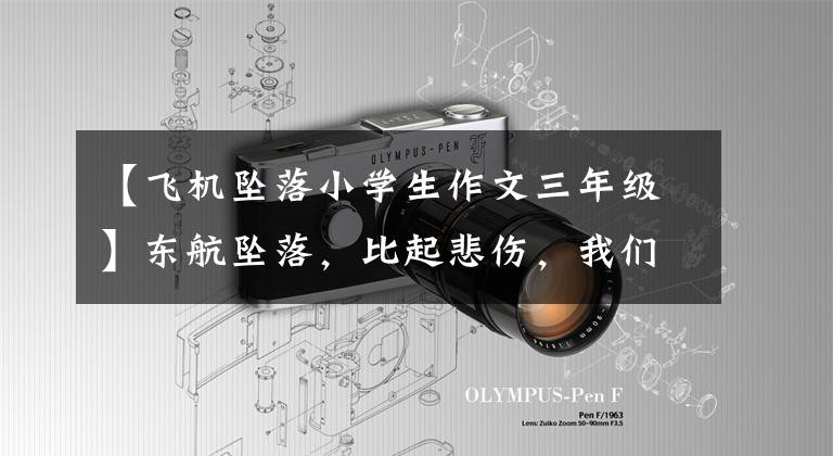 【飞机坠落小学生作文三年级】东航坠落，比起悲伤，我们要更强。这时有你在，我们不怕