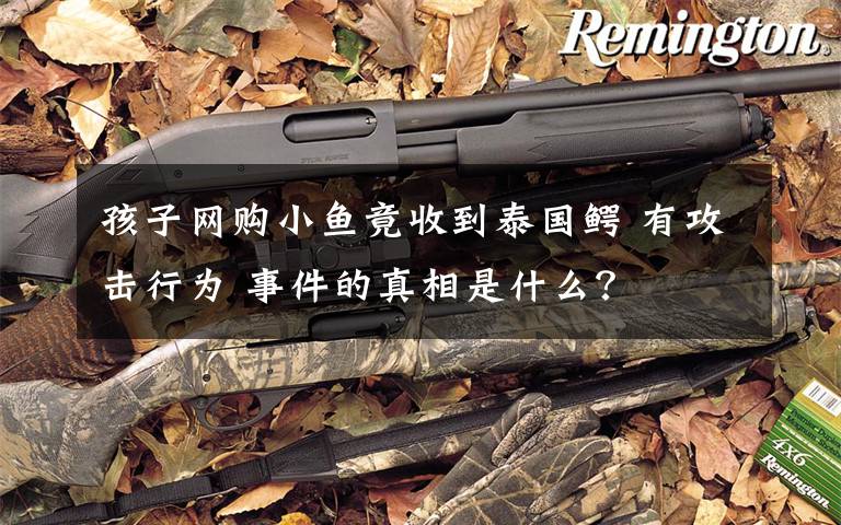 孩子网购小鱼竟收到泰国鳄 有攻击行为 事件的真相是什么？