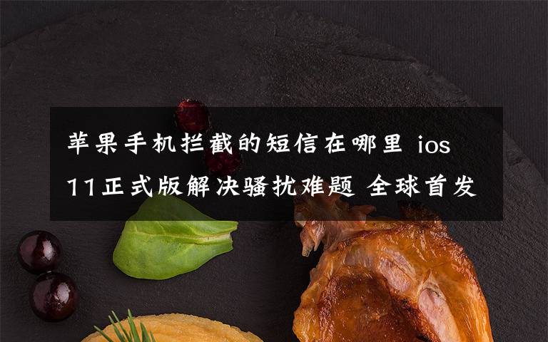 苹果手机拦截的短信在哪里 ios11正式版解决骚扰难题 全球首发 “垃圾短信识别”功能