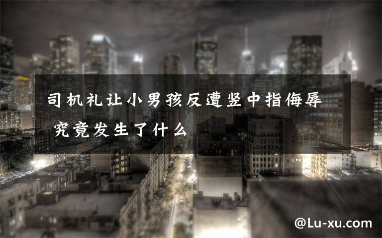 司机礼让小男孩反遭竖中指侮辱 究竟发生了什么