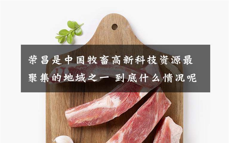 荣昌是中国牧畜高新科技资源最聚集的地域之一 到底什么情况呢？