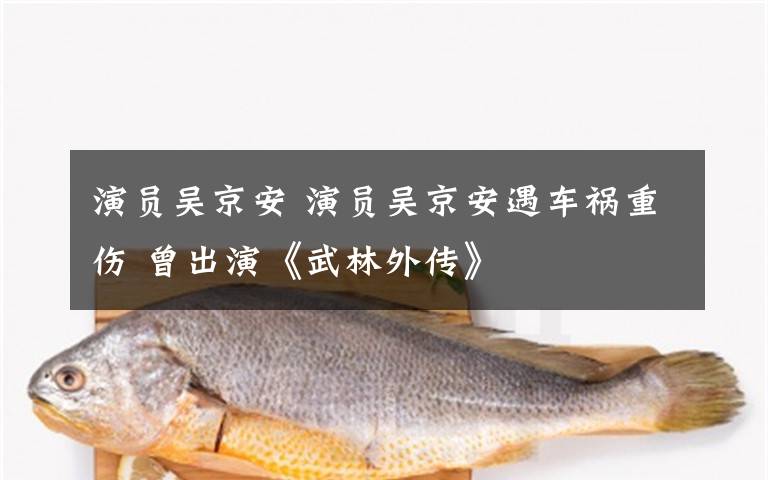 演员吴京安 演员吴京安遇车祸重伤 曾出演《武林外传》