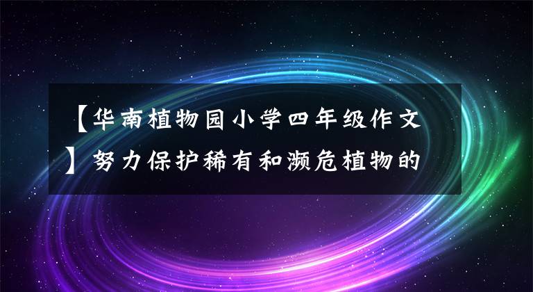 【华南植物园小学四年级作文】努力保护稀有和濒危植物的实地回归。