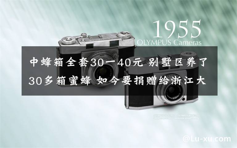 中蜂箱全套30一40元 别墅区养了30多箱蜜蜂 如今要捐赠给浙江大学