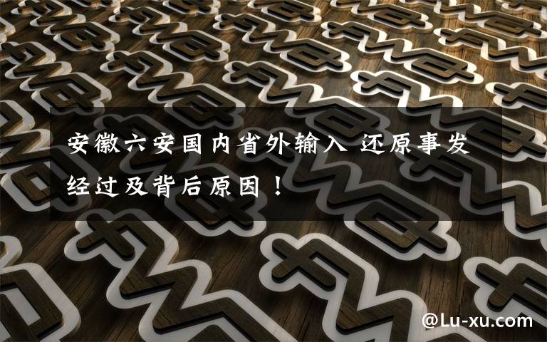 安徽六安国内省外输入 还原事发经过及背后原因！
