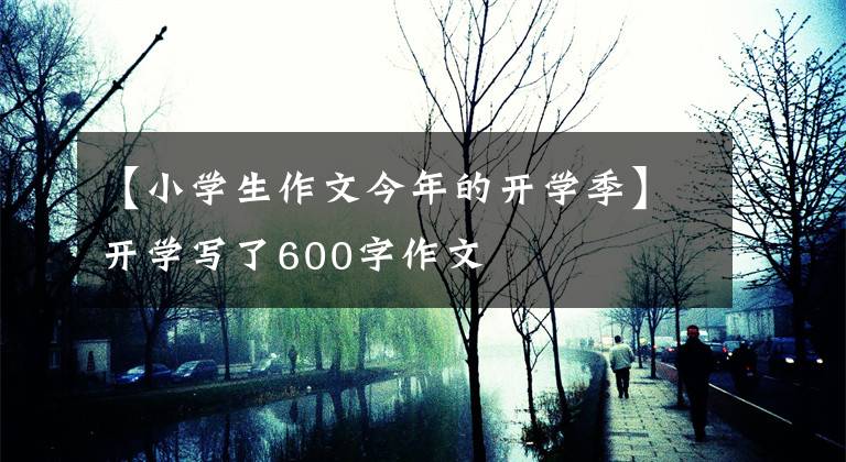 【小学生作文今年的开学季】开学写了600字作文