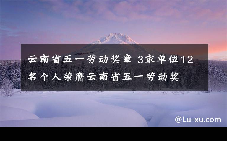 云南省五一劳动奖章 3家单位12名个人荣膺云南省五一劳动奖