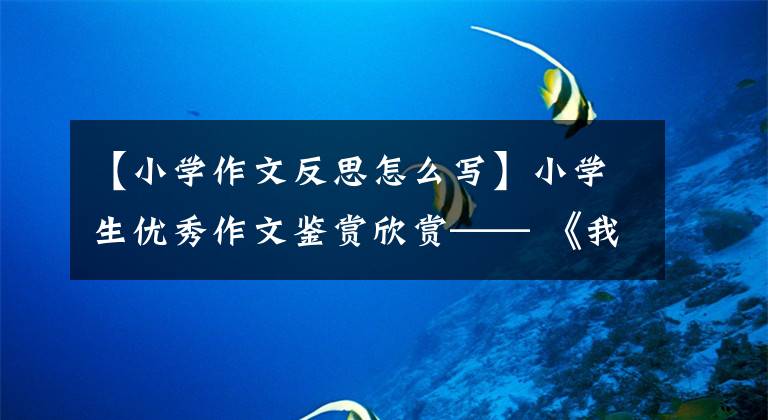 【小学作文反思怎么写】小学生优秀作文鉴赏欣赏—— 《我的反思》作文500字，反思自己的作文