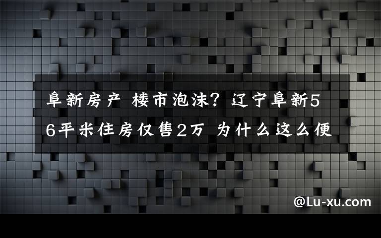 阜新房产 楼市泡沫？辽宁阜新56平米住房仅售2万 为什么这么便宜？