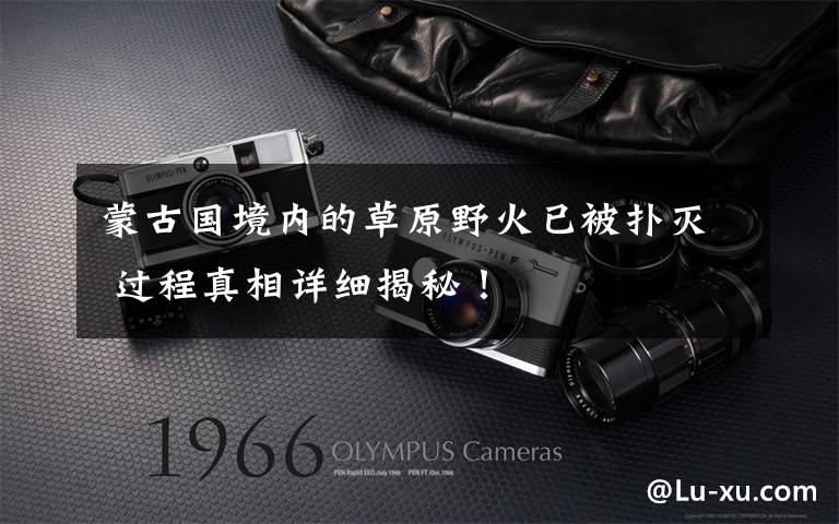 蒙古国境内的草原野火已被扑灭 过程真相详细揭秘！