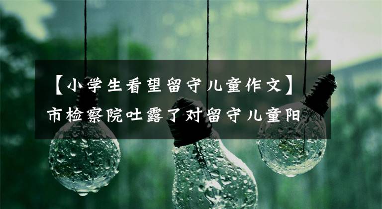 【小学生看望留守儿童作文】市检察院吐露了对留守儿童阳光男孩构成的感谢