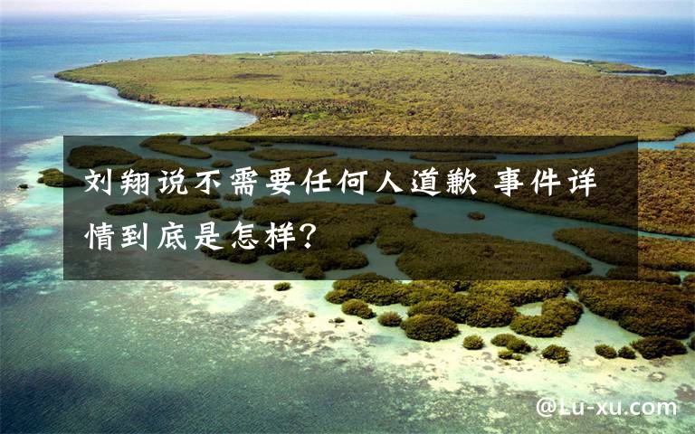 刘翔说不需要任何人道歉 事件详情到底是怎样？