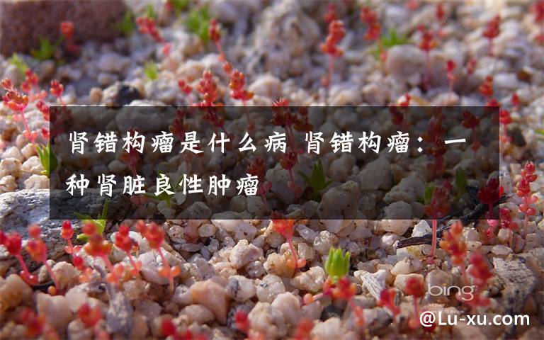 肾错构瘤是什么病 肾错构瘤：一种肾脏良性肿瘤