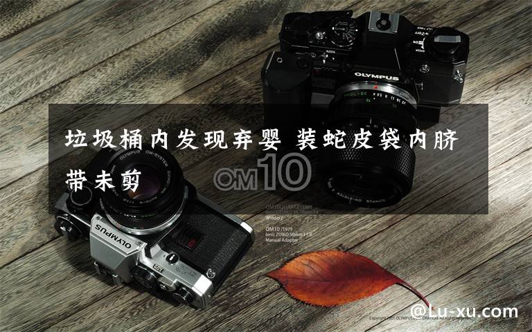 垃圾桶内发现弃婴 装蛇皮袋内脐带未剪