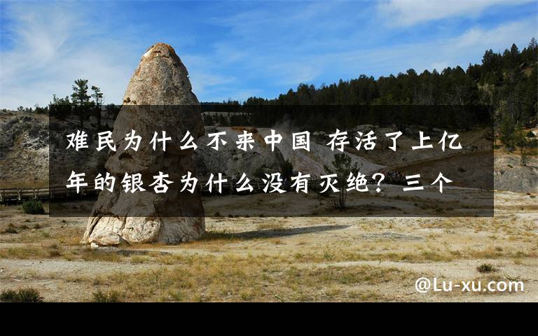 难民为什么不来中国 存活了上亿年的银杏为什么没有灭绝？三个“避难所”都在中国