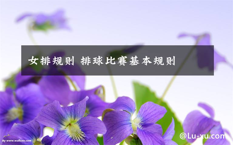 女排规则 排球比赛基本规则