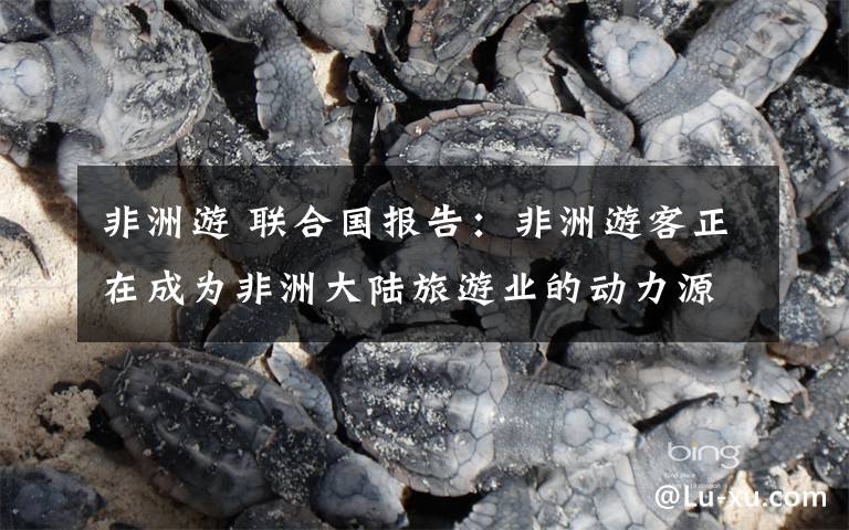 非洲游 联合国报告：非洲游客正在成为非洲大陆旅游业的动力源