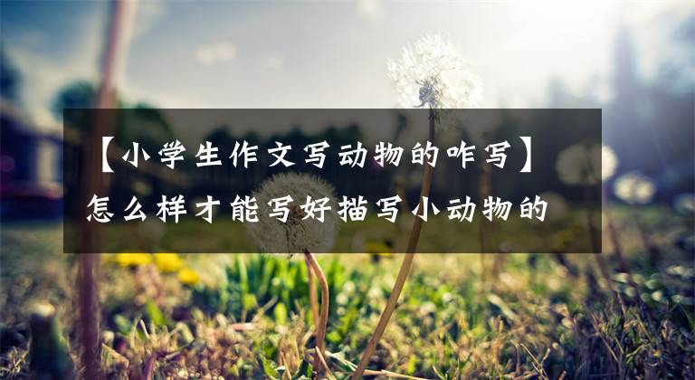 【小学生作文写动物的咋写】怎么样才能写好描写小动物的作文？(包括范文)，给孩子收藏