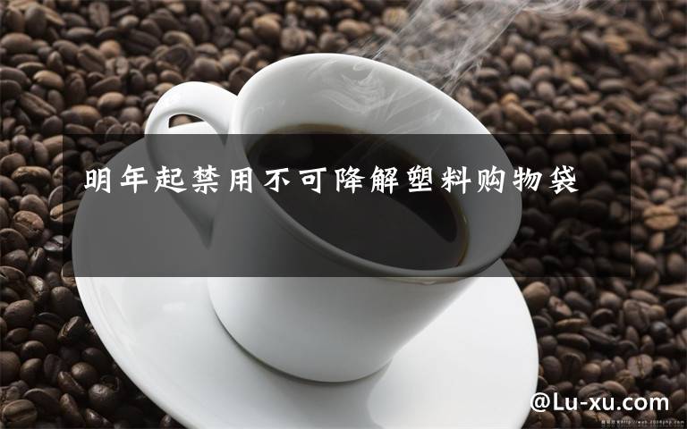 明年起禁用不可降解塑料购物袋