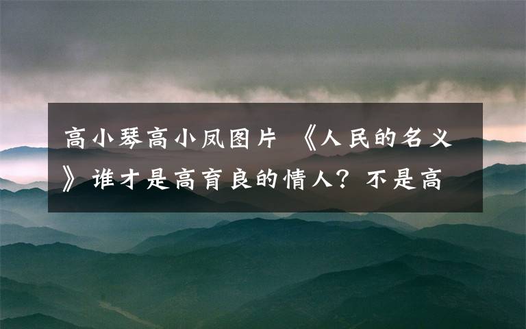 高小琴高小凤图片 《人民的名义》谁才是高育良的情人？不是高小琴？高育良有个6岁孩子又是咋回事？