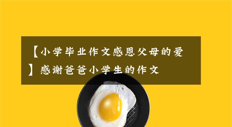 【小学毕业作文感恩父母的爱】感谢爸爸小学生的作文