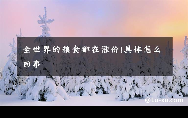 全世界的粮食都在涨价!具体怎么回事