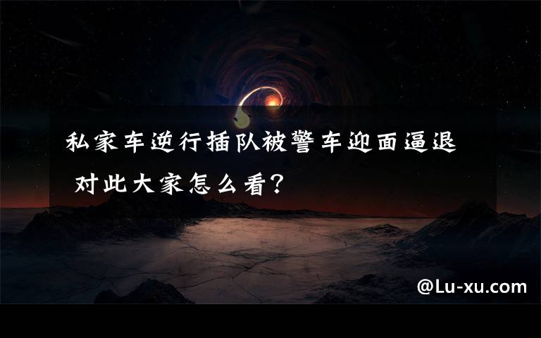 私家车逆行插队被警车迎面逼退 对此大家怎么看？