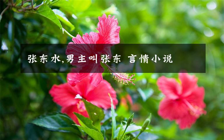 张东水,男主叫张东 言情小说
