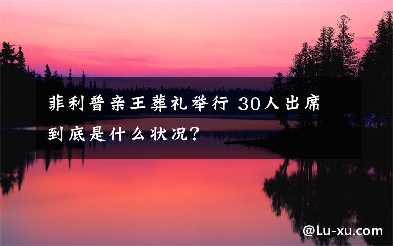 菲利普亲王葬礼举行 30人出席 到底是什么状况？
