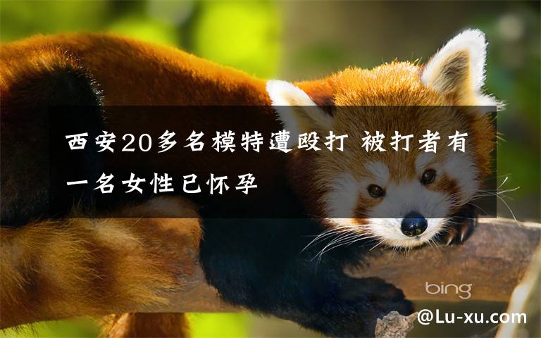 西安20多名模特遭殴打 被打者有一名女性已怀孕