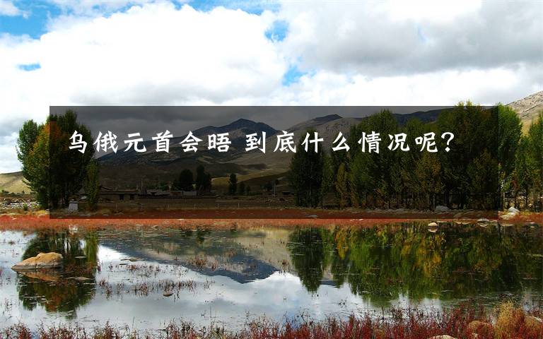 乌俄元首会晤 到底什么情况呢？