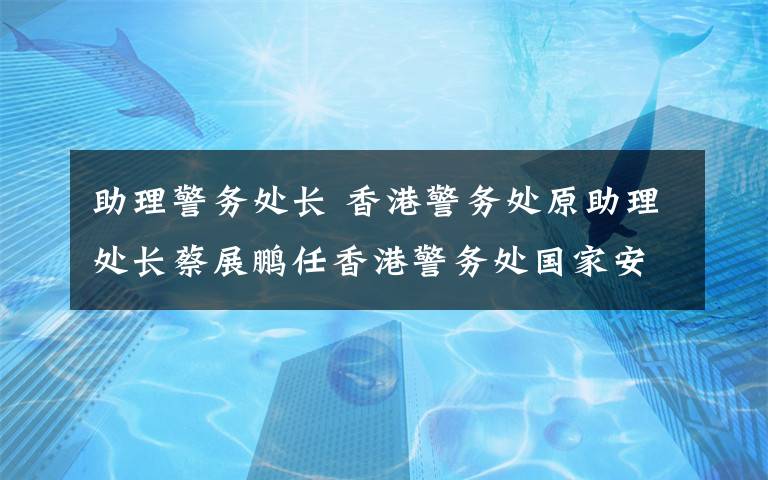 助理警务处长 香港警务处原助理处长蔡展鹏任香港警务处国家安全处处长