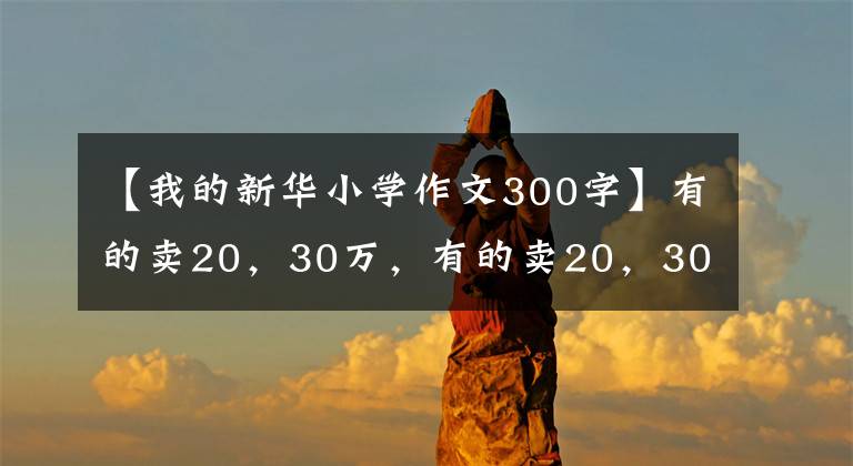 【我的新华小学作文300字】有的卖20，30万，有的卖20，30平方米3354安徽宿州部分村级公益性公墓非法经营调查。