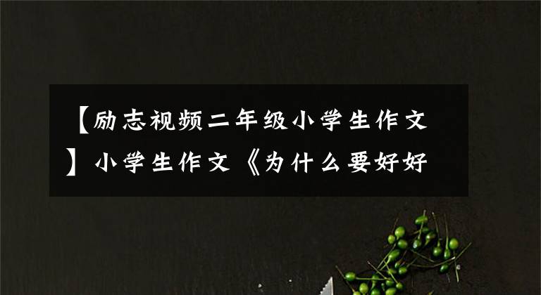【励志视频二年级小学生作文】小学生作文《为什么要好好读书》:读书用一段时间，读书用一辈子。
