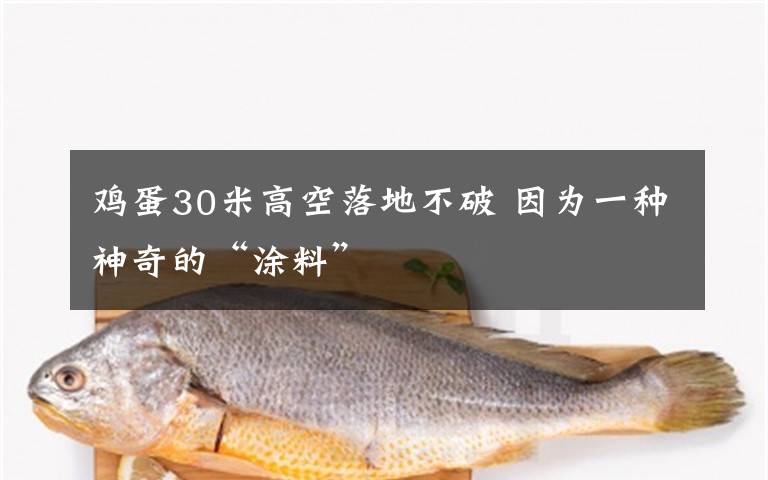 鸡蛋30米高空落地不破 因为一种神奇的“涂料”