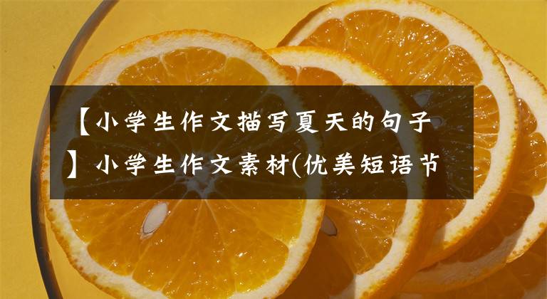 【小学生作文描写夏天的句子】小学生作文素材(优美短语节选)描述夏天的文章