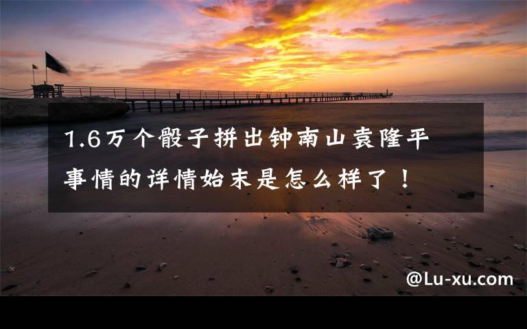1.6万个骰子拼出钟南山袁隆平 事情的详情始末是怎么样了！