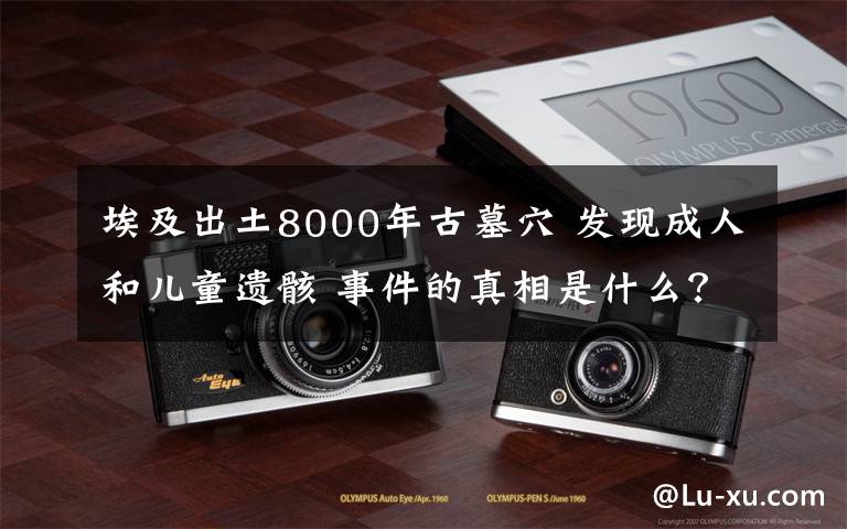 埃及出土8000年古墓穴 发现成人和儿童遗骸 事件的真相是什么？