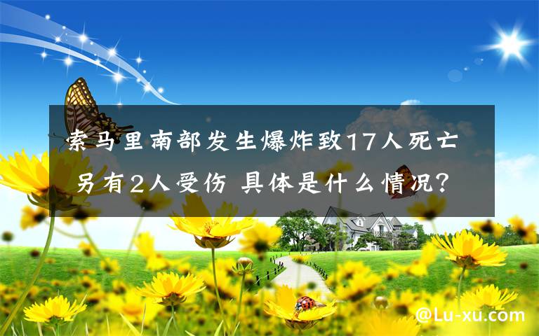 索马里南部发生爆炸致17人死亡 另有2人受伤 具体是什么情况？