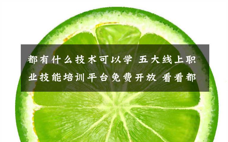 都有什么技术可以学 五大线上职业技能培训平台免费开放 看看都能学到啥