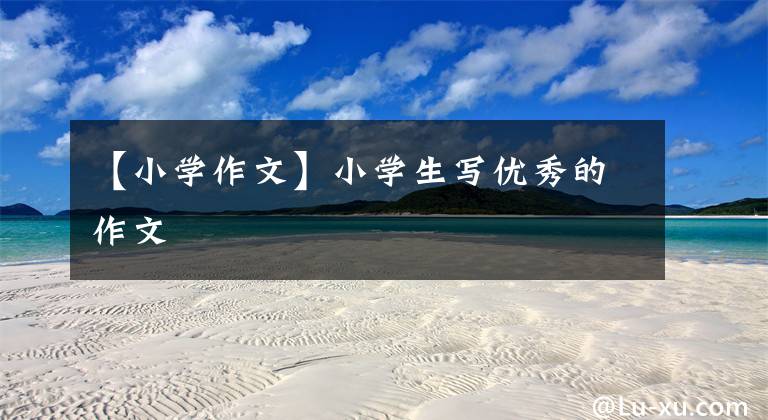 【小学作文】小学生写优秀的作文